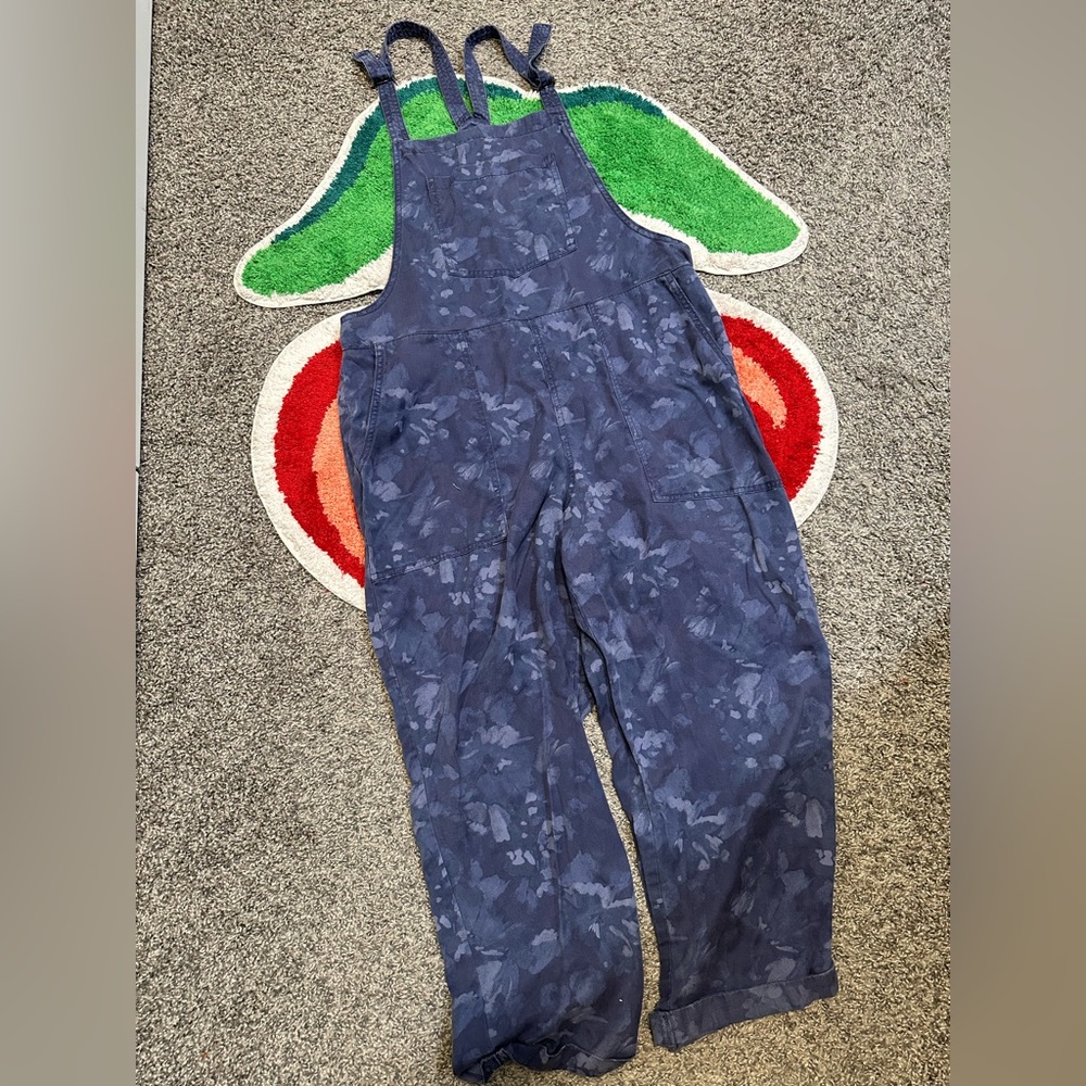 Aerie Overalls
